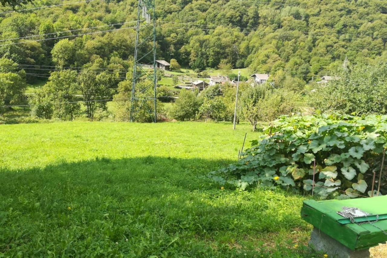 Bilocale A Due Passi Dal Gran Paradiso Locana Zewnętrze zdjęcie